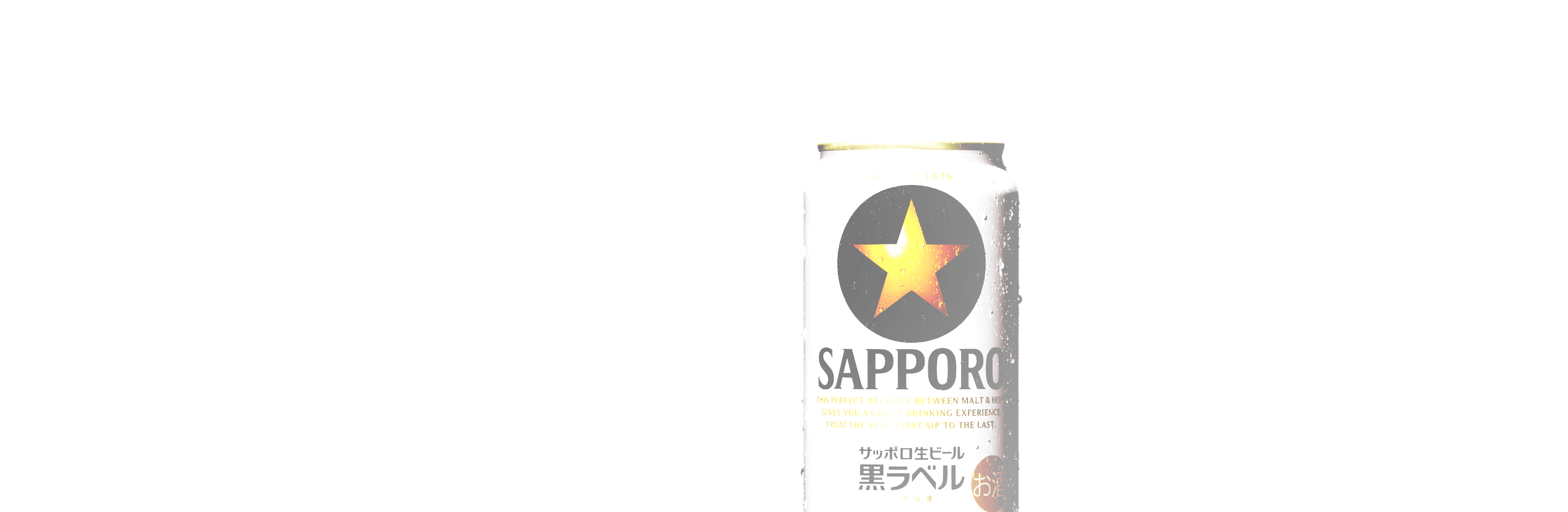 大人の 生 サッポロ生ビール 黒ラベル サッポロビール