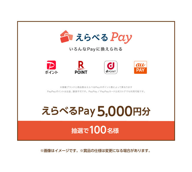 えらべるPay 5,000円分 100名様