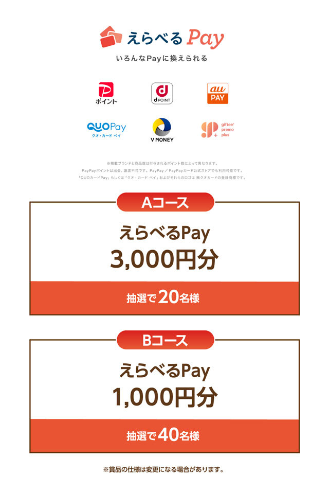 Aコース：えらべるPay 3,000円分 20名様 Bコース：えらべるPay 1,000円分 40名様 ※賞品の仕様は変更になる場合があります。