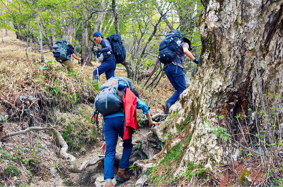 鳳凰三山、本領発揮！　南アルプスの洗礼を受ける