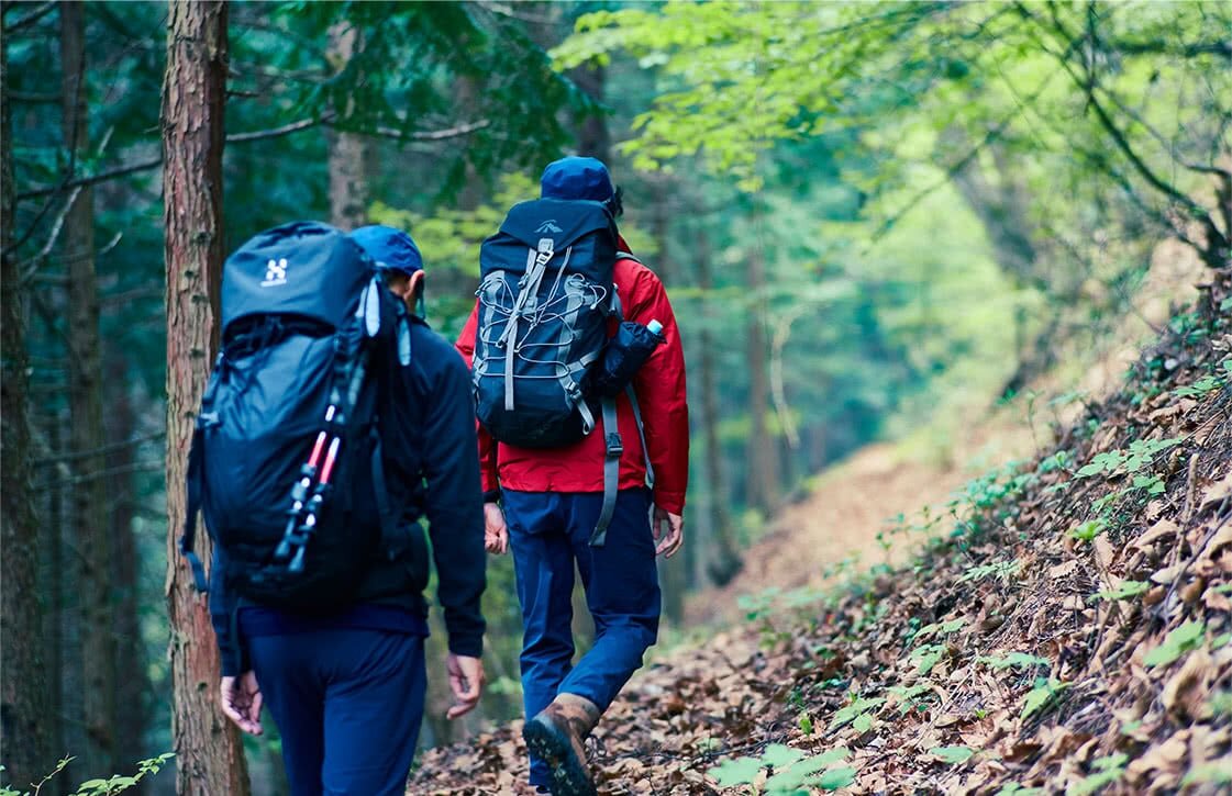 新緑が息づく穏やかな登山道にスタッフ一同、意気揚々