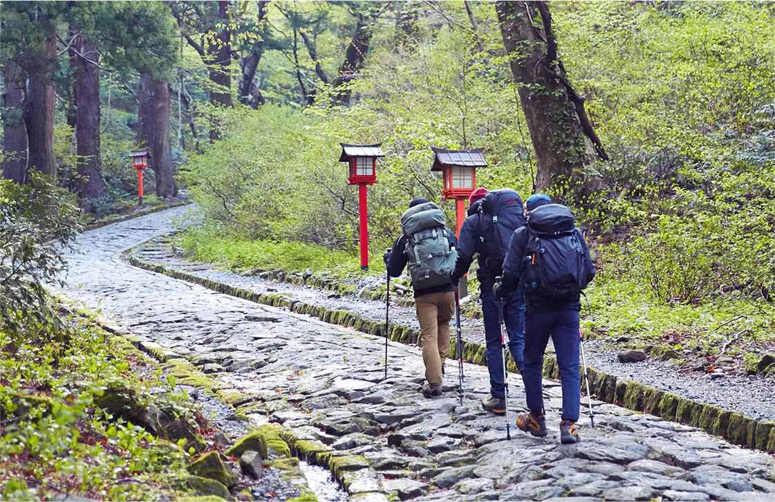 朝霧を纏った空気と美しい石畳の参道に、空は晴れずとも心は晴ればれ