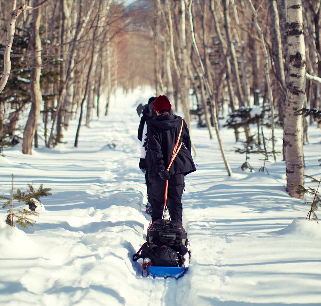 SAPPORO OVER QUALITY EXTREME × SNOW TREKKING SHIRETOKO