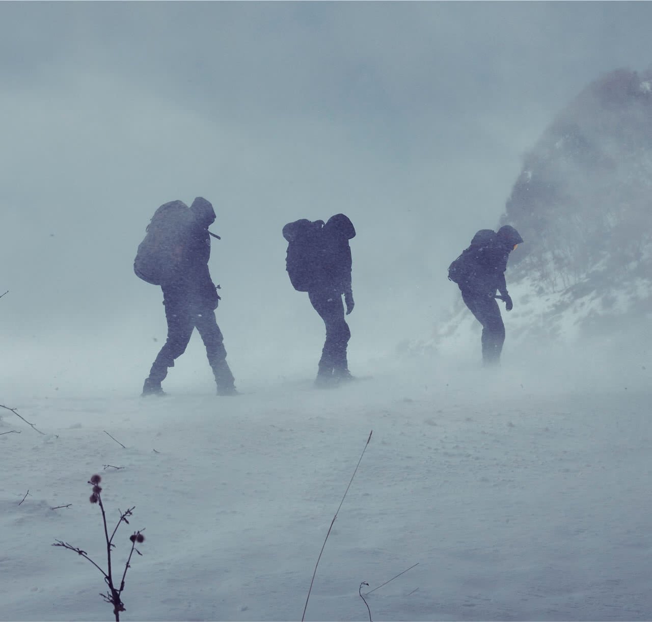 SAPPORO OVER QUALITY EXTREME × SNOW TREKKING SHIRETOKO SCENE.1