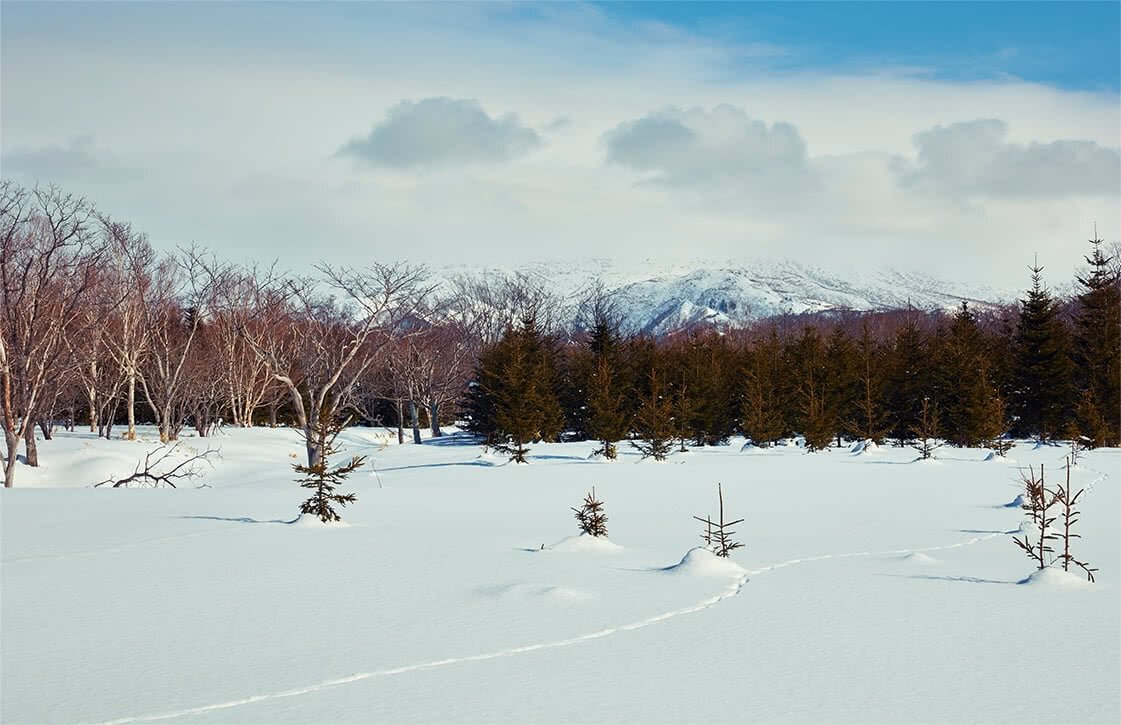 待望の晴れ間とともに顔を表した知床連山。否が応でもヒートアップ！