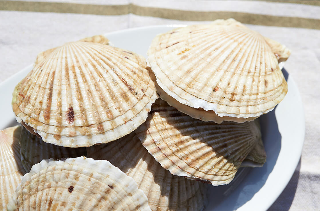 地の食材を活用して、普段の生活では味わえないスペシャル＆ローカルなアウトドアフードを作る。それがチームOQキッチンの使命。