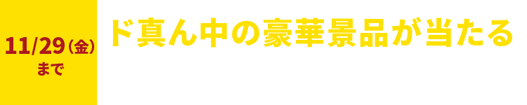 ド真ん中の豪華景品が当たる キャンペーン実施中！