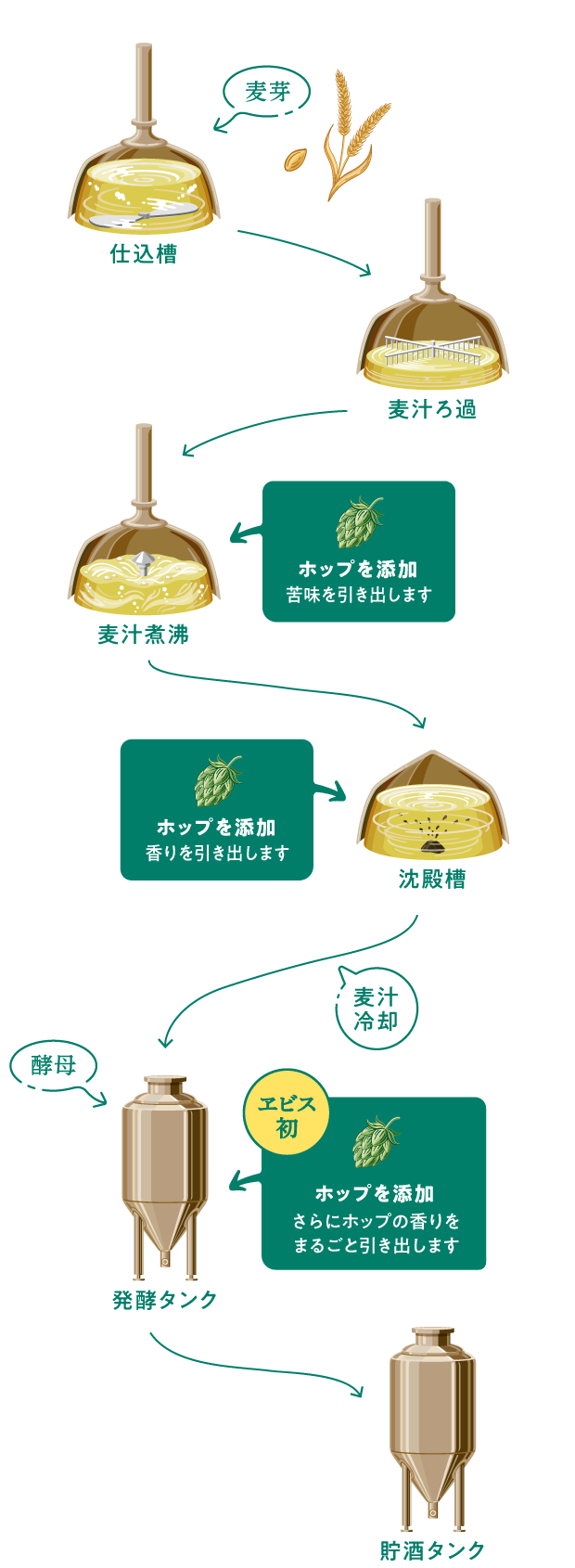 ドライホッピング製法のフロー図